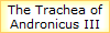 The Trachea of
Andronicus III